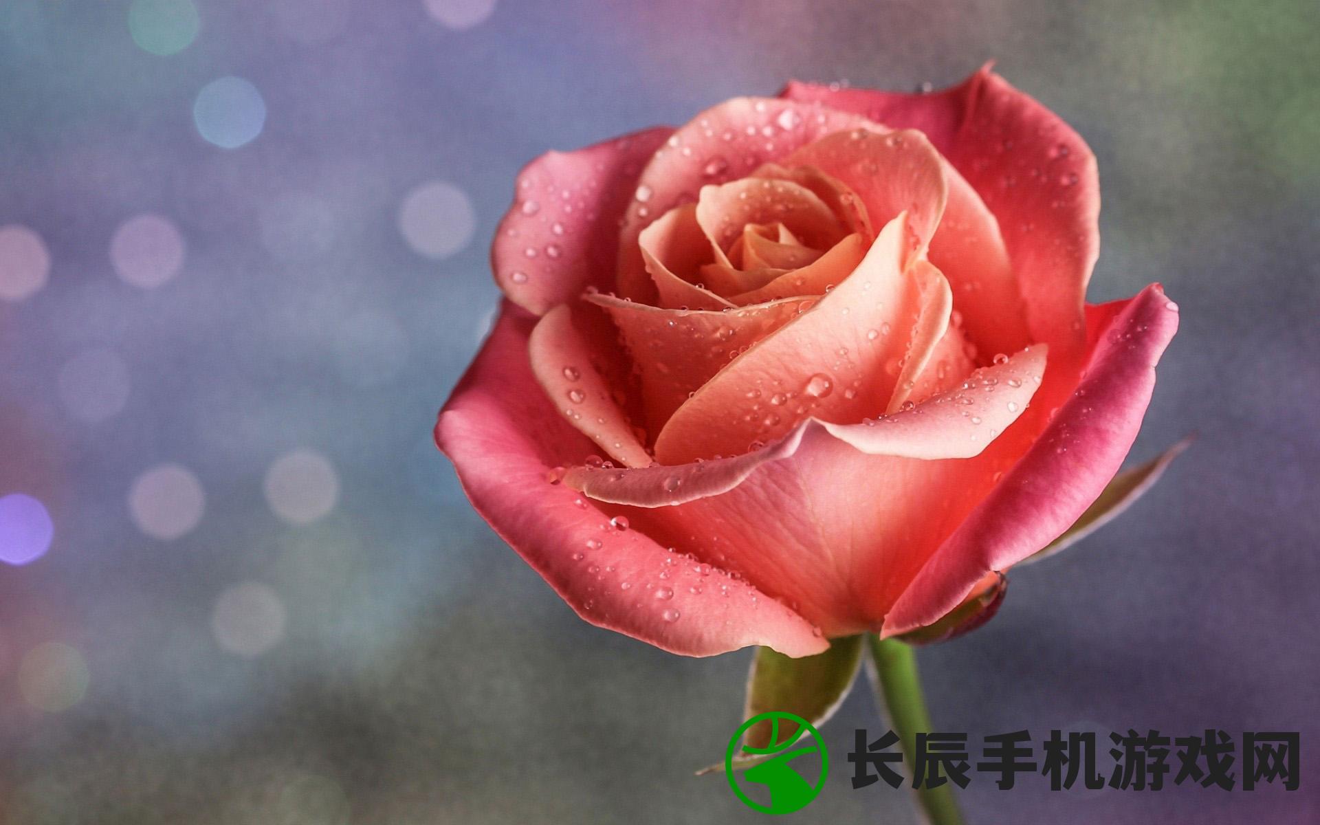电脑桌面背景图换不了怎么办？解决办法和可能原因一览无遗