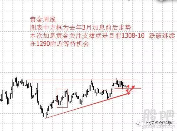 新澳精准资料免费提供濠江论坛,掌握趋势轻松应对市场变化_标准集.8.569