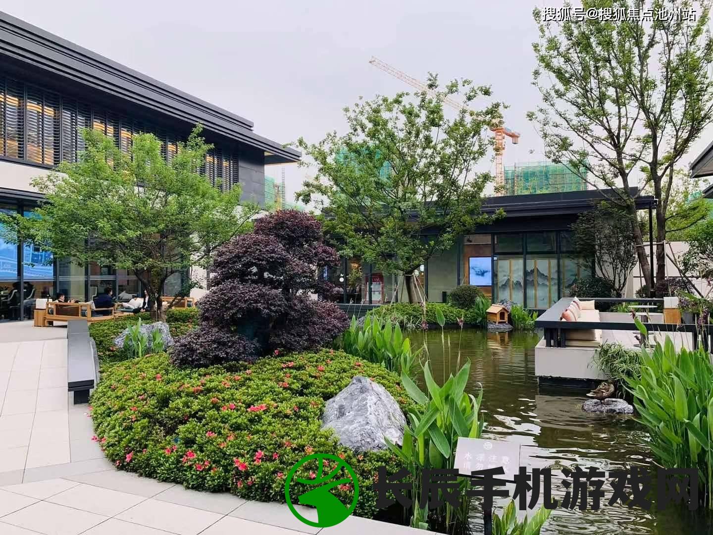 黄大仙三肖三码必中一期，如何稳定获利？详细解析黄大仙三肖三码的技巧和玩法
