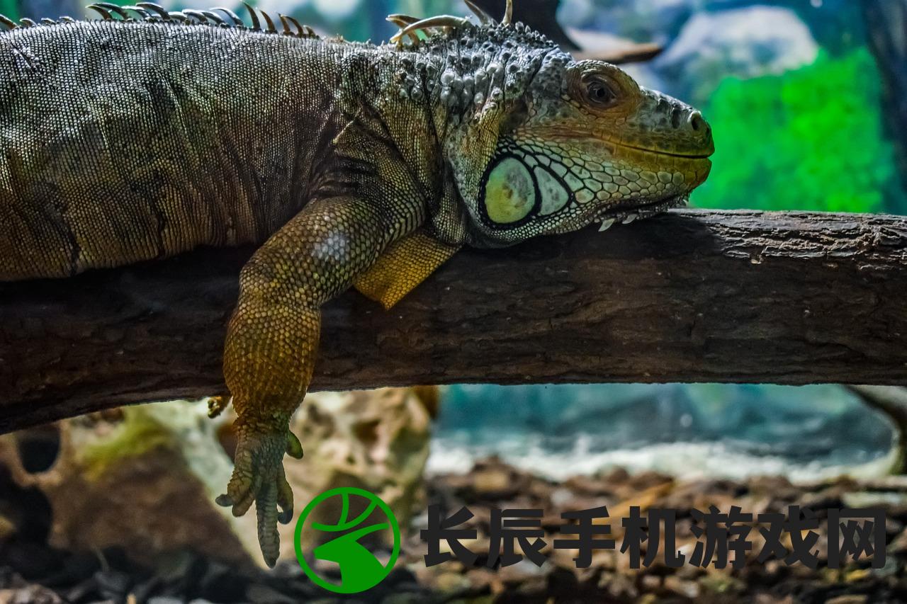 (霍格沃茨官方守护神测试免费)揭秘中文版守护神测试入口——探寻你的守护神形象