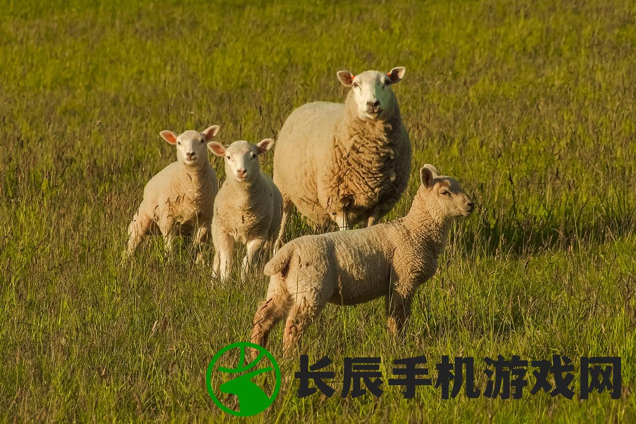 (代号zzgs官网)代号ZZGS 1.0版本，深度解析与前瞻